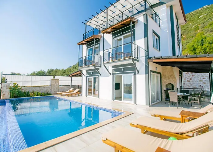 Vılla Guclu Villa *